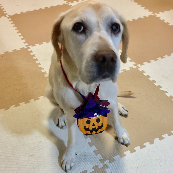 B7ca9e25 50bb 43a8 895e 967949e0d6f4 1509441840353