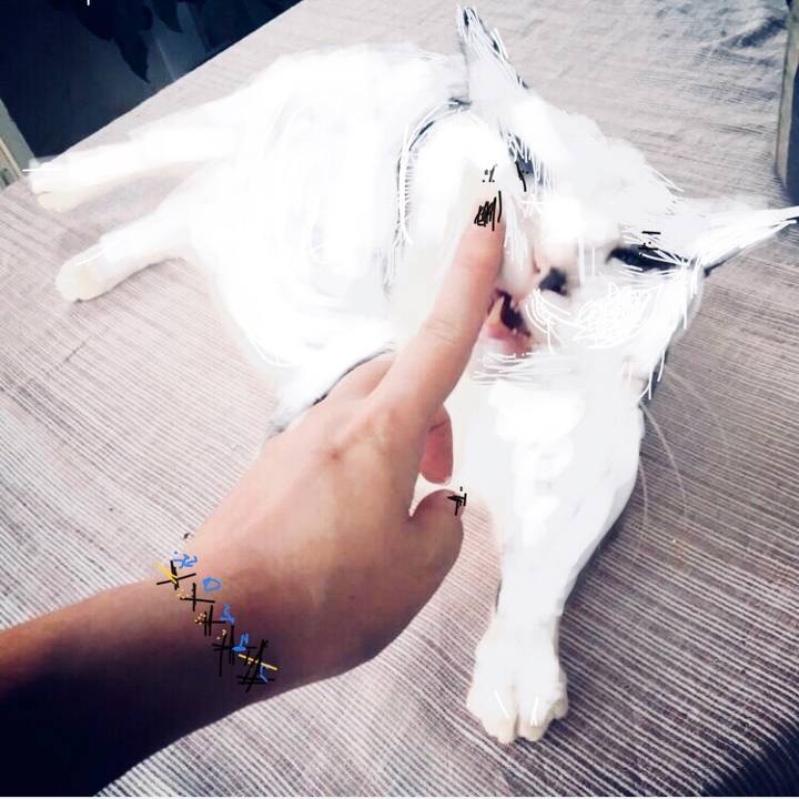 B7cac59c 9742 41c8 a534 9451705ebe7d 1536367525677