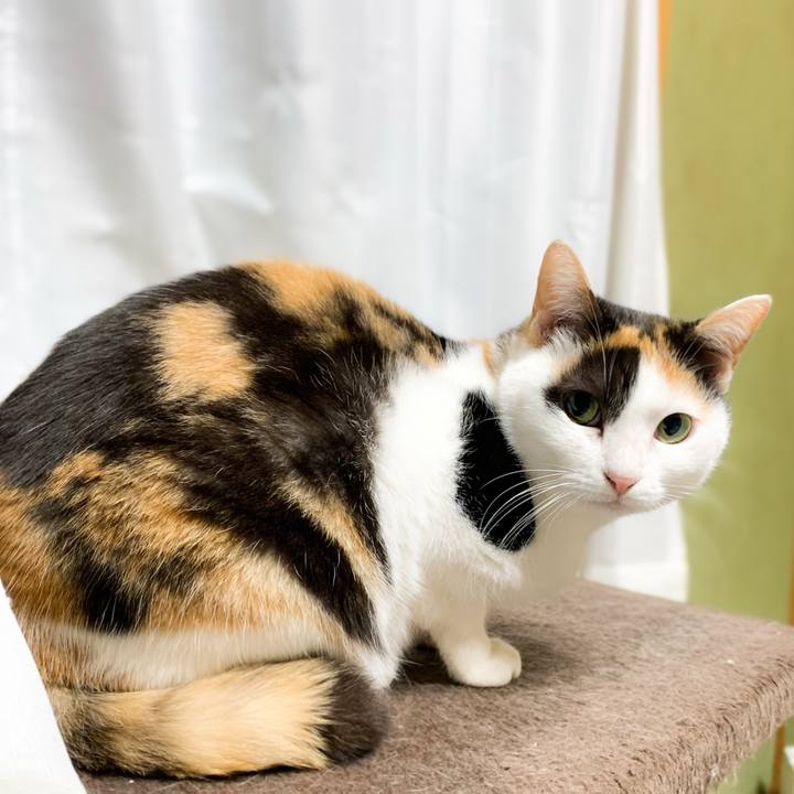 B7cace35 7590 4afb 8a0b 02dca5a406b6 1577066441592