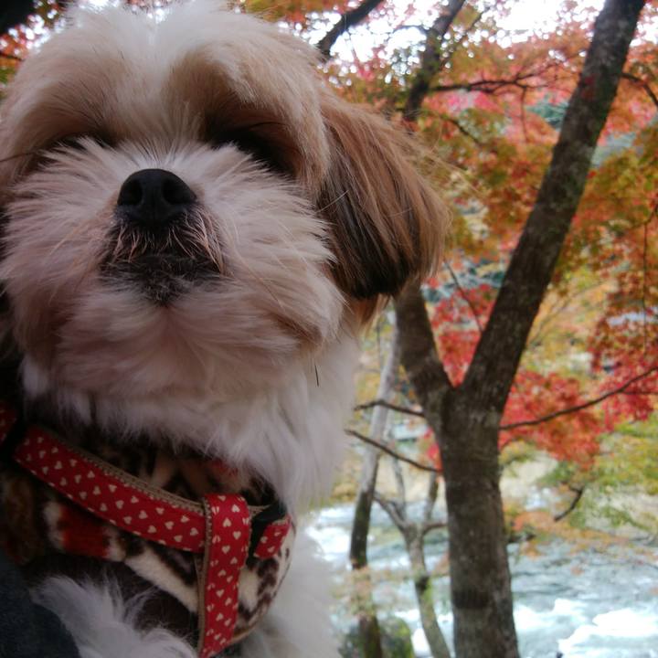 B7caeb5f fa65 41ec a1af 550bfe17a663 1511068339336