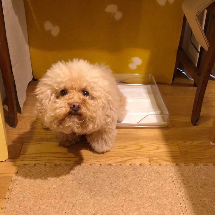 B7caf419 c7f5 414b b271 6b3619fdceff 1517908535266