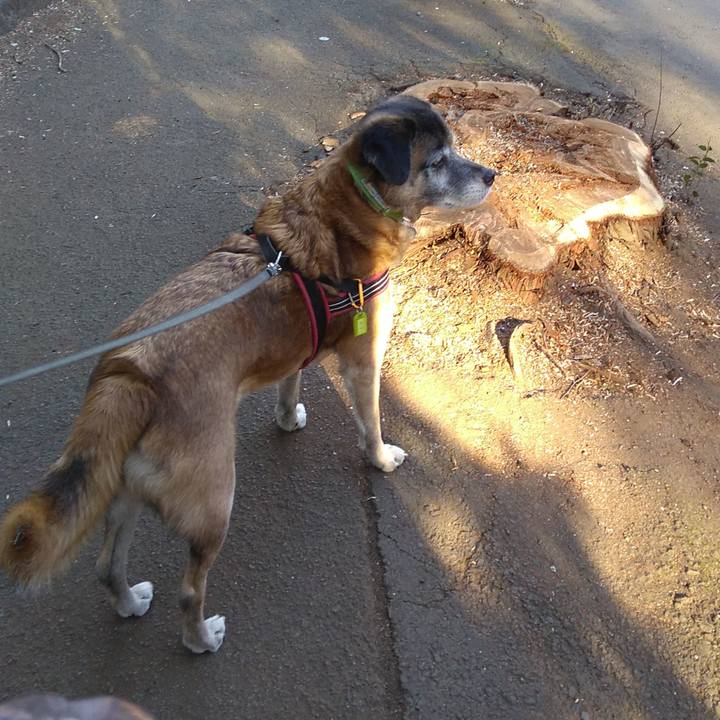 B7cb790d a100 4000 806c 98f0784dcd18 1548201805004