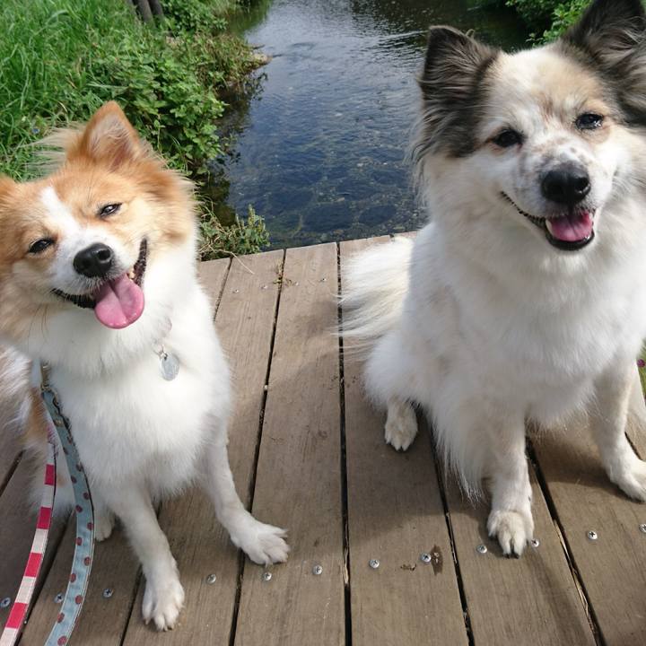 B7cb8c93 aed3 4f10 8e7a 90b1d6ab1ead 1568979811231