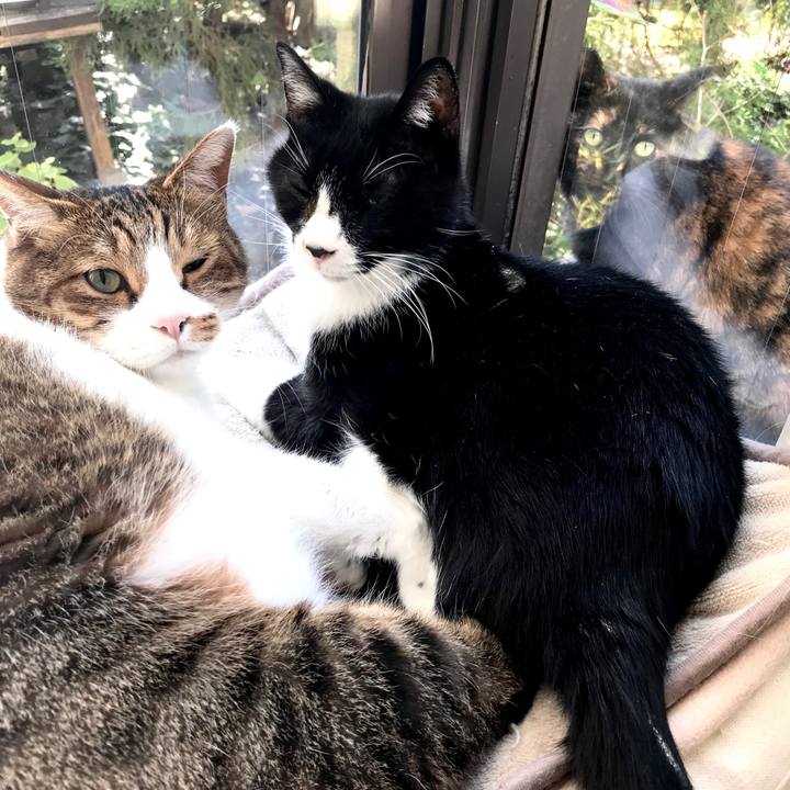 B7cb90fd 0dc3 41e1 b3ee 19cd8fe92c4b 1576313015817