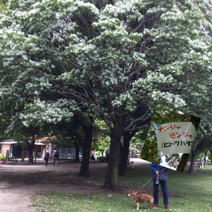 B7cc4939 ae05 4b68 8940 8a47d070edac 1619934633867