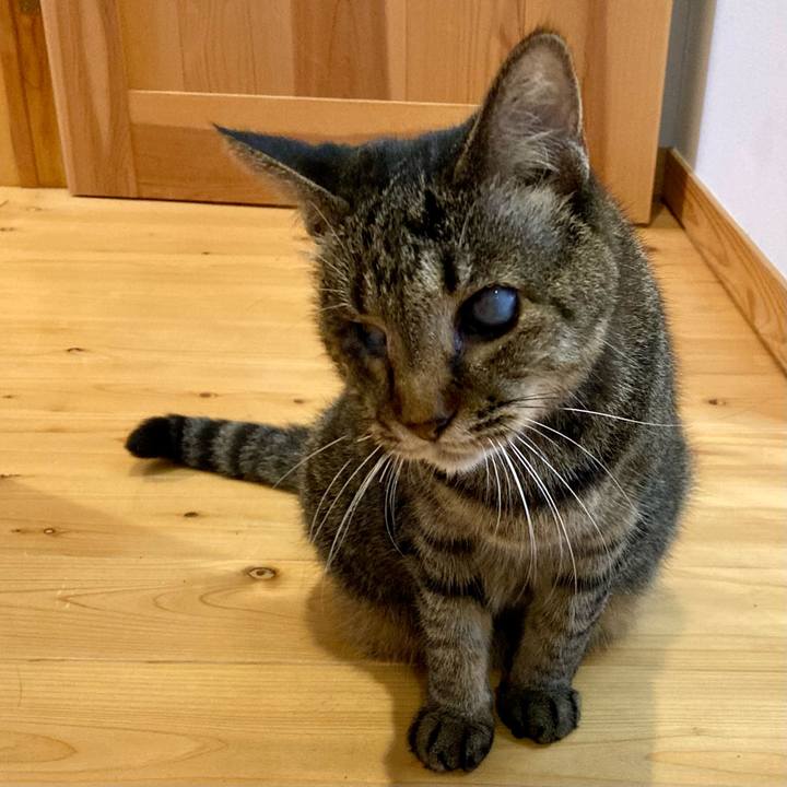 B7cc514f ad65 4db8 b4f9 6e97aced31c7 1633738420905