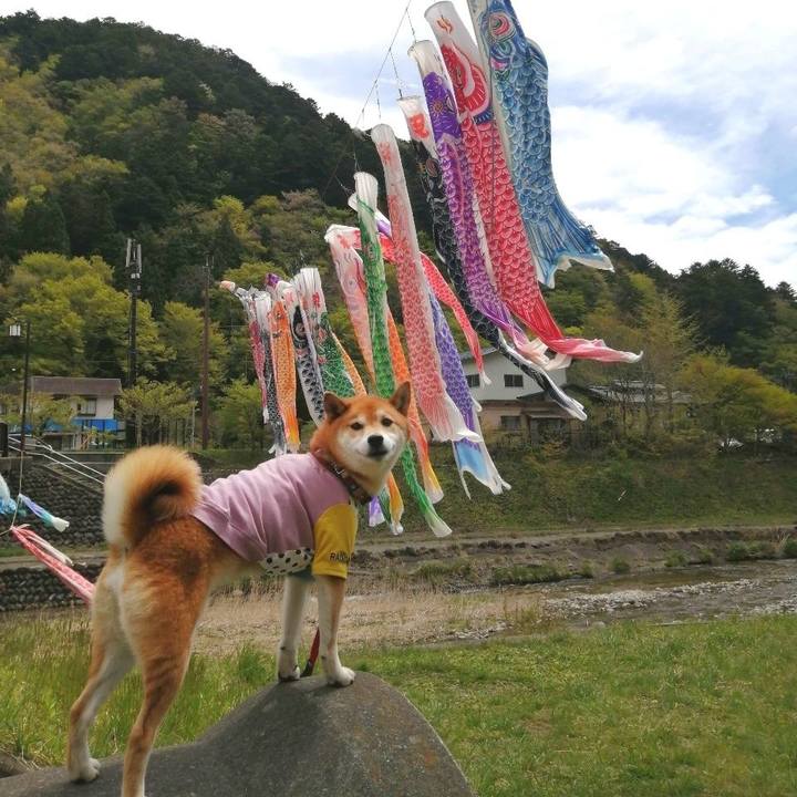 B7cc578f 2b1d 4fb7 ad52 63a23342d6e4 1682518859314