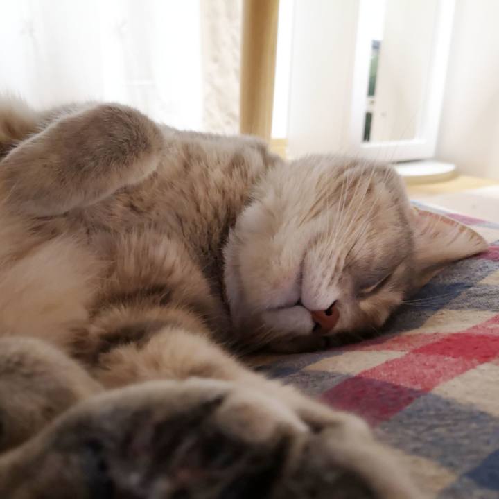 B7cc6b09 565f 4d9b ad35 a26a02003749 1570807655300