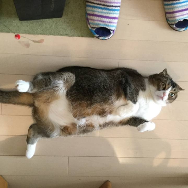 B7cc7d36 eb4b 4efe 8e73 626e39a8b07a 1546300308462