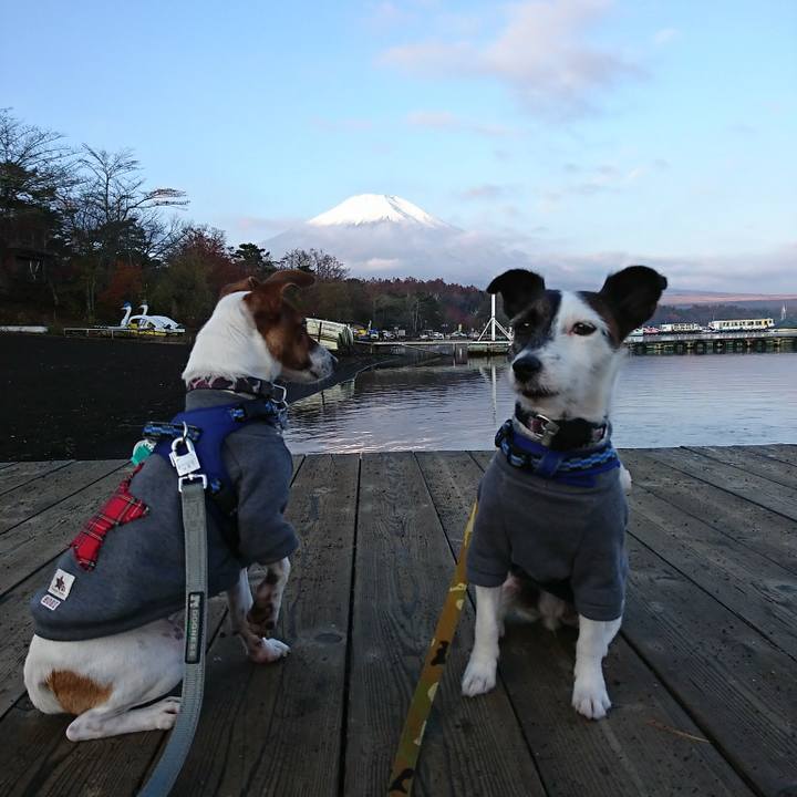 B7cc8001 61d4 434e bff6 cf2247087f40 1541886849585