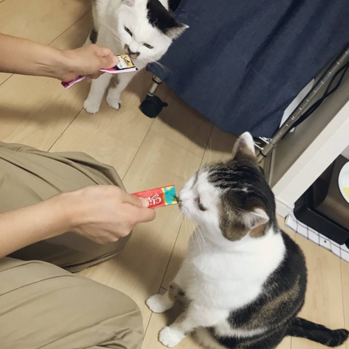 B7cd0661 443f 494e 8f80 1e24d10ff2f7 1536324405751