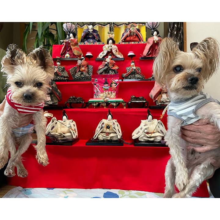 B7cd2c74 5232 430c 8a1d 309b93d8bdaf 1677836360078