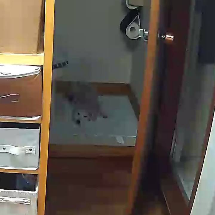 B7cd4adf 44a2 4e4a 9ca2 850ae27e4023 1653613267906