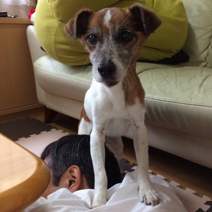 B7cd599a a973 4a29 a97a 74564c014c4b 1532851464274