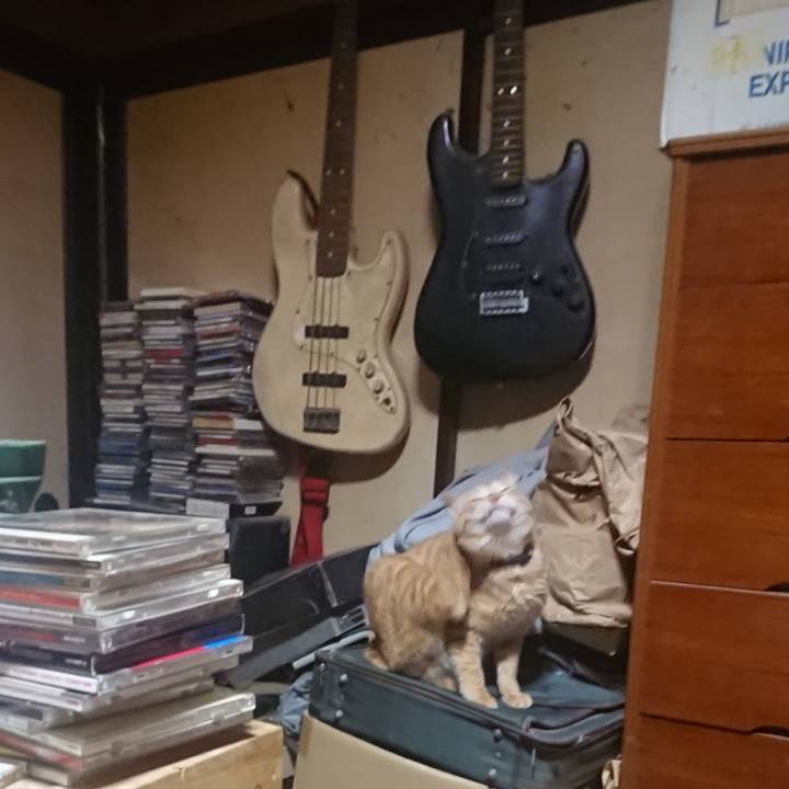 B7cd788c 06af 432a b385 1325bc28d017 1645047373854