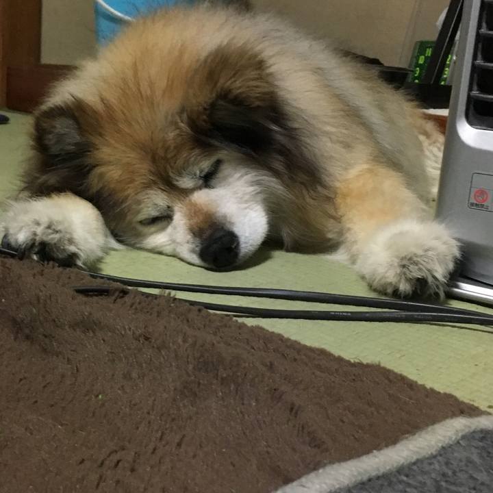 B7cd8503 61c1 4502 a832 812c47bc1d5f 1625316713452