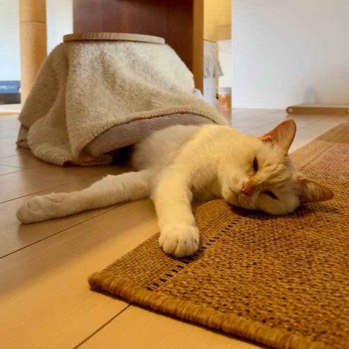 B7cdef52 6a13 4c16 8a8a 907fb6e4543f 1766633034429