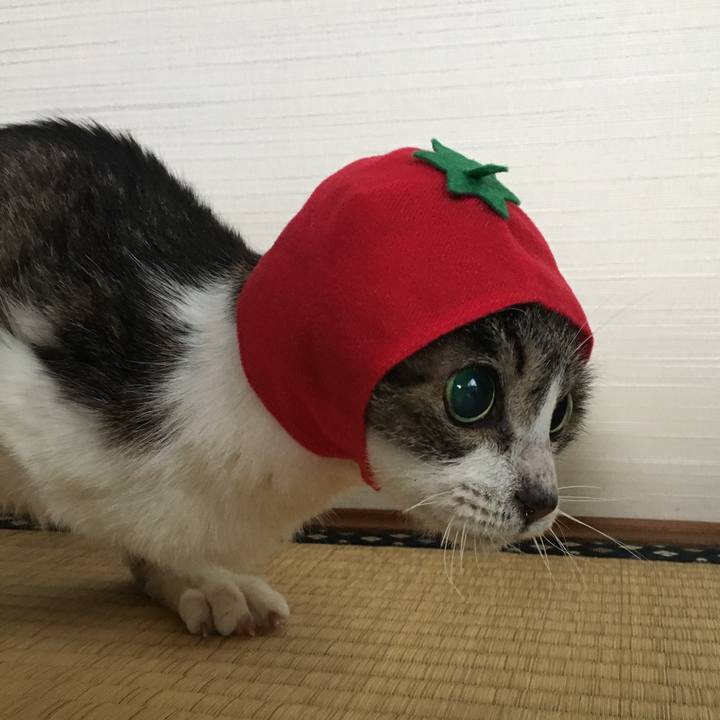 B7ce194b 5736 444f 923f 49fd7cca2601 1714515556922