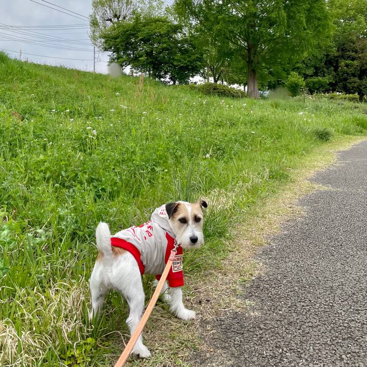 B7ce1a04 dcc2 4318 a5c1 1c65302f0fbf 1682324412208