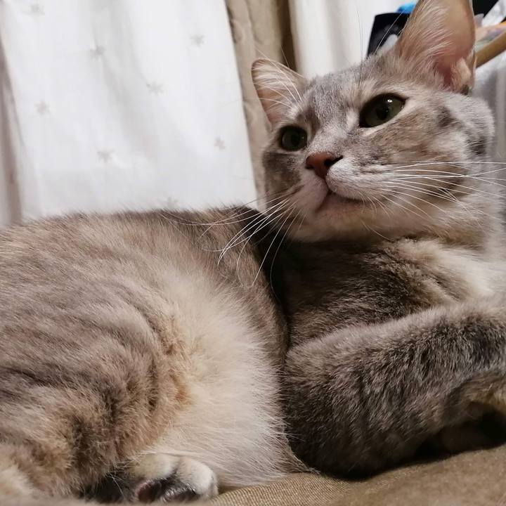 B7ce27c3 11b4 4bce 8ed4 360122c03df3 1580052324856