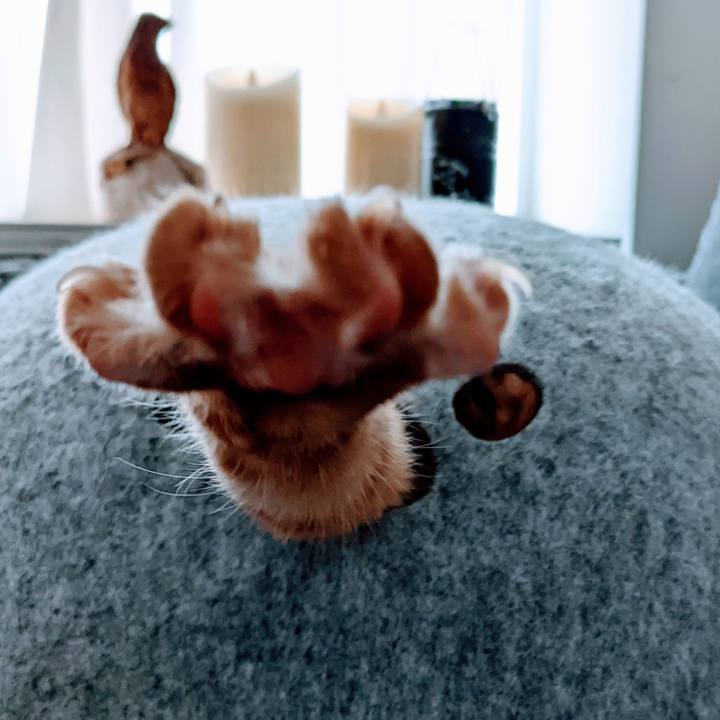 B7ce522d fbde 4722 9c4d 49b4c6bf97b9 1651909016904