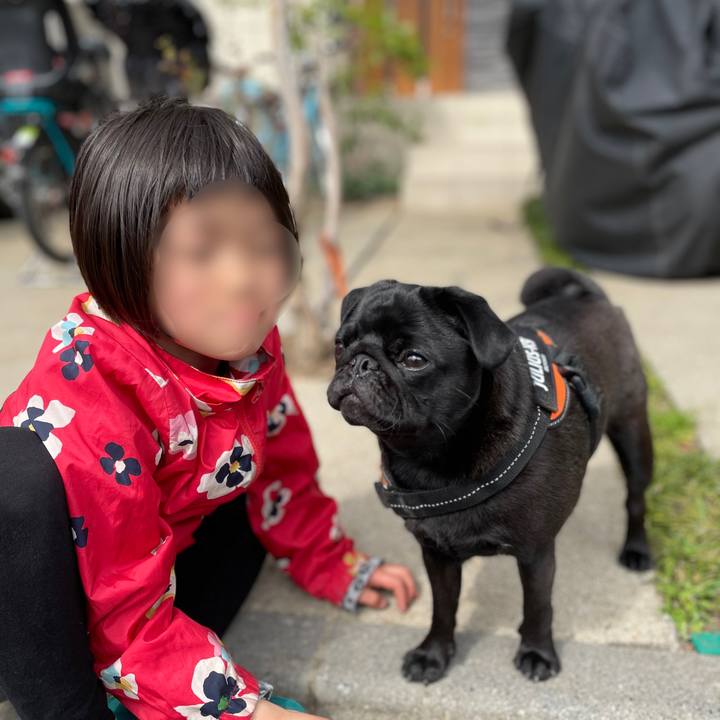 B7ce5910 5c36 4c1e b25d 7e170c7a4e84 1616901118917