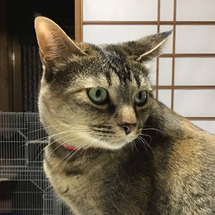 B7ce920c 55a6 4796 a48f 3e235ad08d53 1680955020497