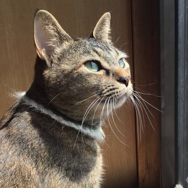 B7ceed15 02f4 449c 9ba9 6b143c7a6933 1649217492689