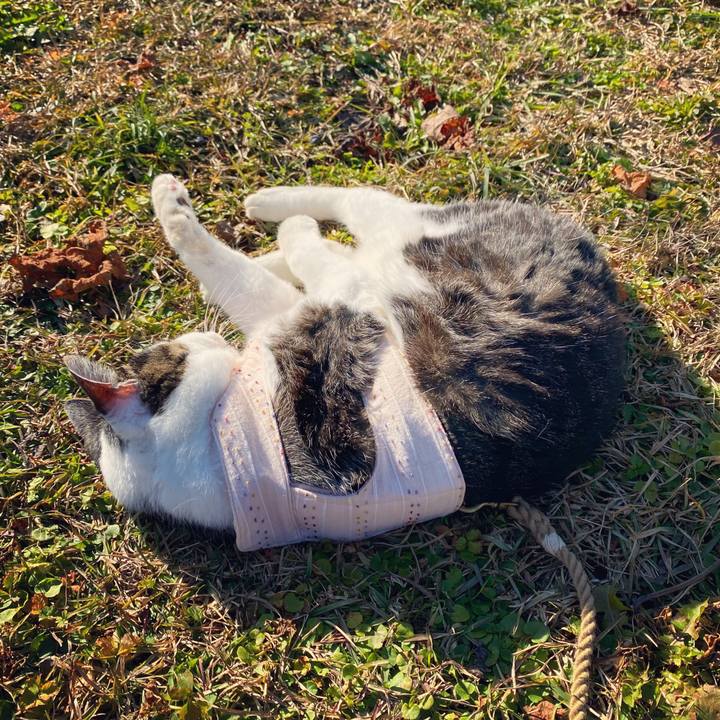 B7cf4c1b 3ba7 41fb 8391 a6c4636d8591 1638589767572