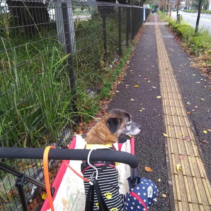 B7d01896 5787 4160 8da4 b00cb2d50dea 1570751488561