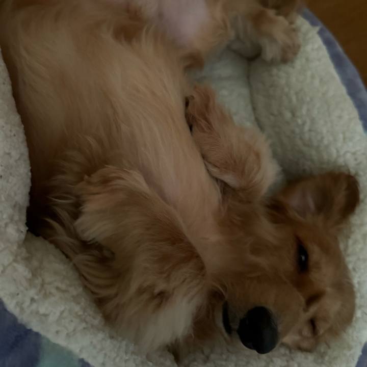 B7d0257c 5ab2 4942 852f dbd1d73fafeb 1722241284026