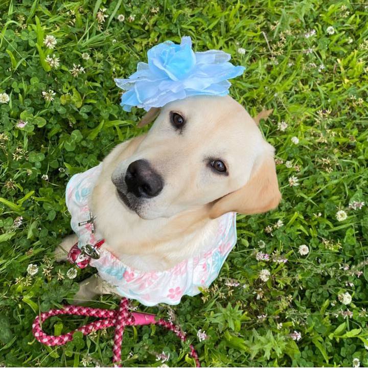 B7d09720 a110 4054 80fc a72e4f8408f3 1652101248450