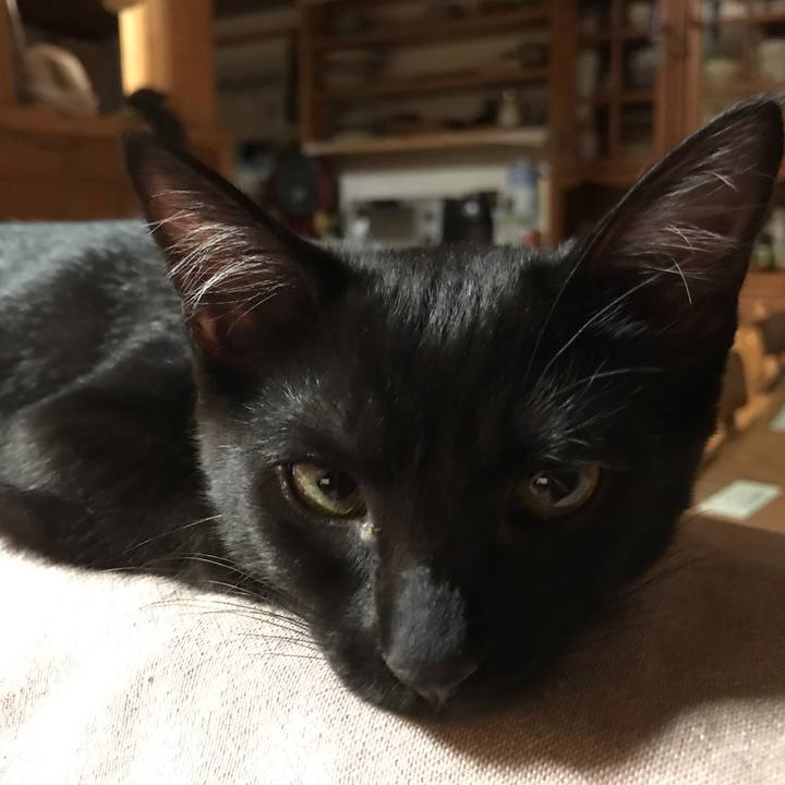 B7d0e6ce 2e71 430d b9db 7e0a5ba899b6 1566646815380