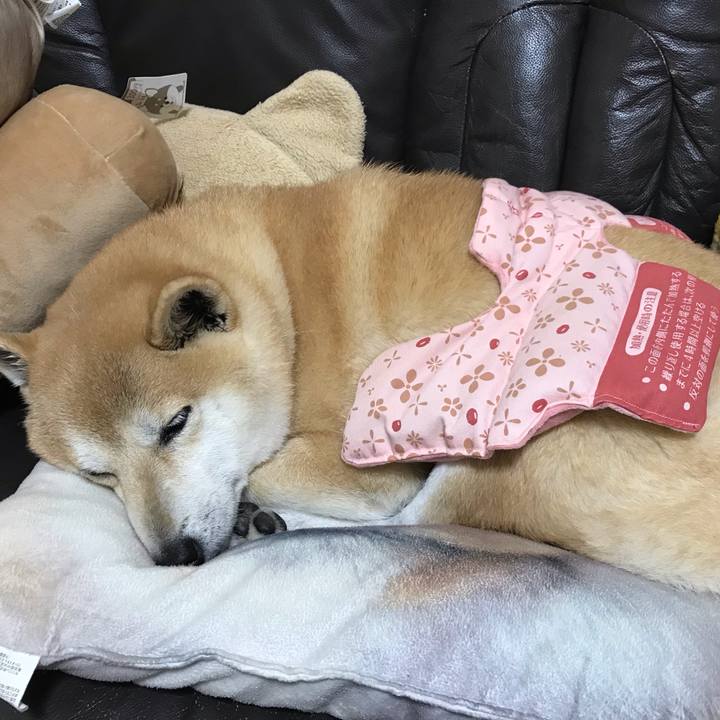 B7d10f0c fb70 437f 89fb 4347dc6a1e0b 1547449762303