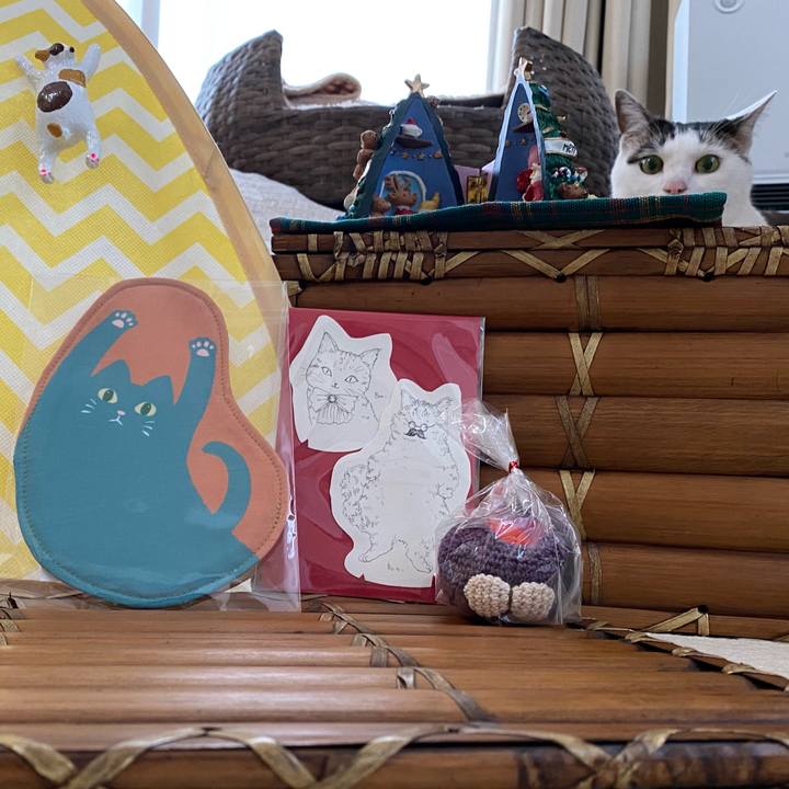 B7d13057 f2d3 457d 8aed eb5e9c75dc0e 1765609108046