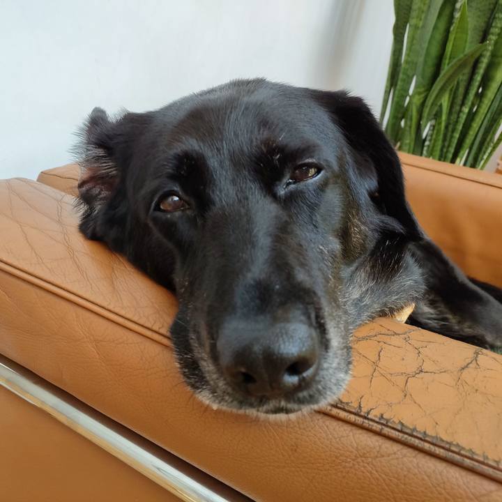 B7d13c56 985e 4961 b03f 9bbcf2fb0e9b 1720136468824