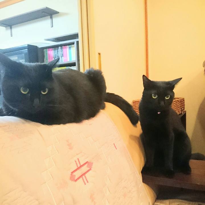 B7d13c6c 0067 4648 8c1e ff0cce3b1390 1536030557452