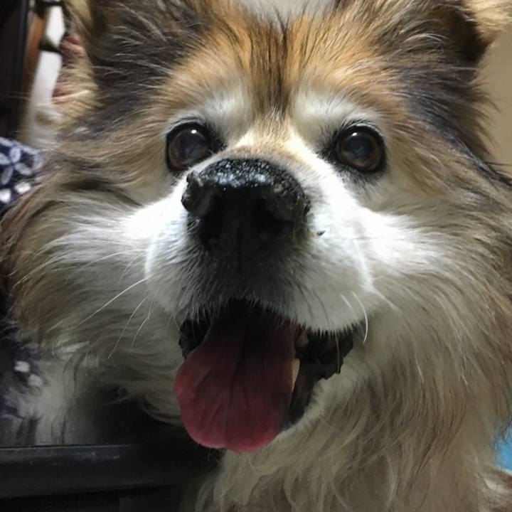 B7d14459 6d8a 44bc b3e1 d8f5252c3b17 1576408961533