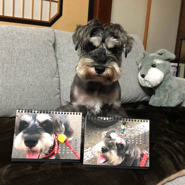 B7d1471f 21bc 441c a51e 4aca673322e6 1572607138583