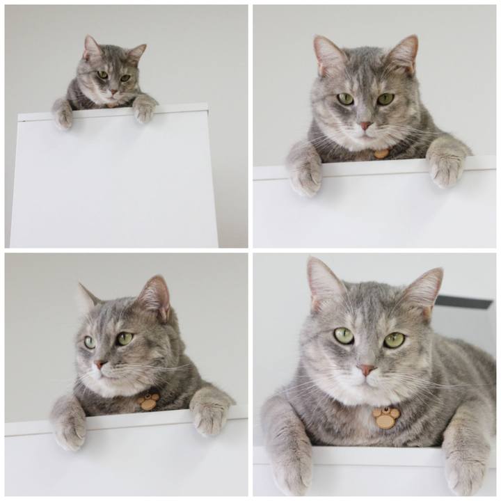 B7d15bac 8b7f 465f ba38 9be933d9dbbc 1597998703668