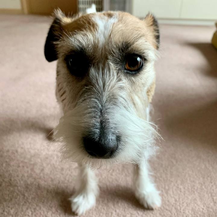 B7d18de7 7b20 4692 beca dc69f2dfff9b 1677028049617