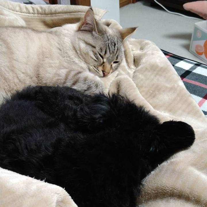 B7d1c003 d29f 4a79 916a cb78b9c78b3e 1616162239563