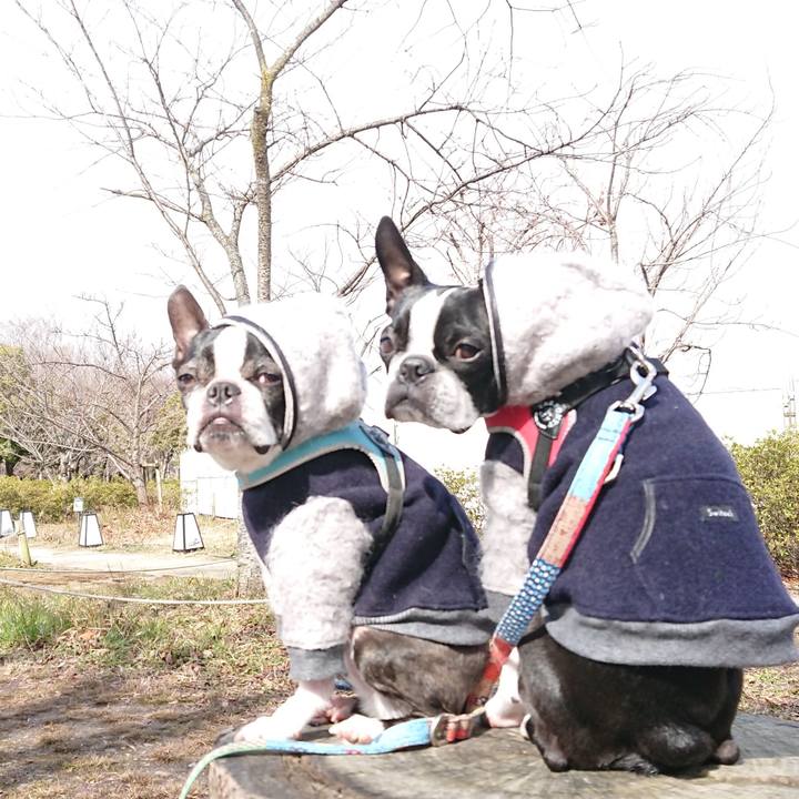 B7d1e663 0147 4fac bca8 a2f1530f2c3a 1518350291376