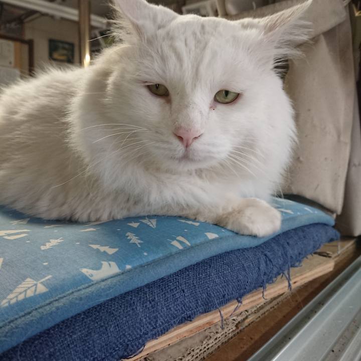 B7d205a7 180e 4827 909d d415d56c5e9b 1562896490889