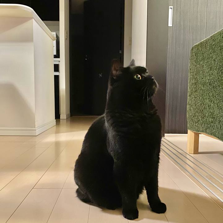 B7d21754 c75c 425a 9c50 4ff17cabd422 1648297666510