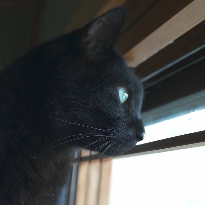 B7d21f4f c401 43af 8b7d 1f7527f32dd3 1562978291636