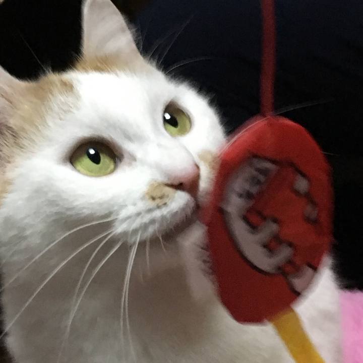 B7d247fd bab5 4c39 9eb5 1fbc6858570a 1514460113891