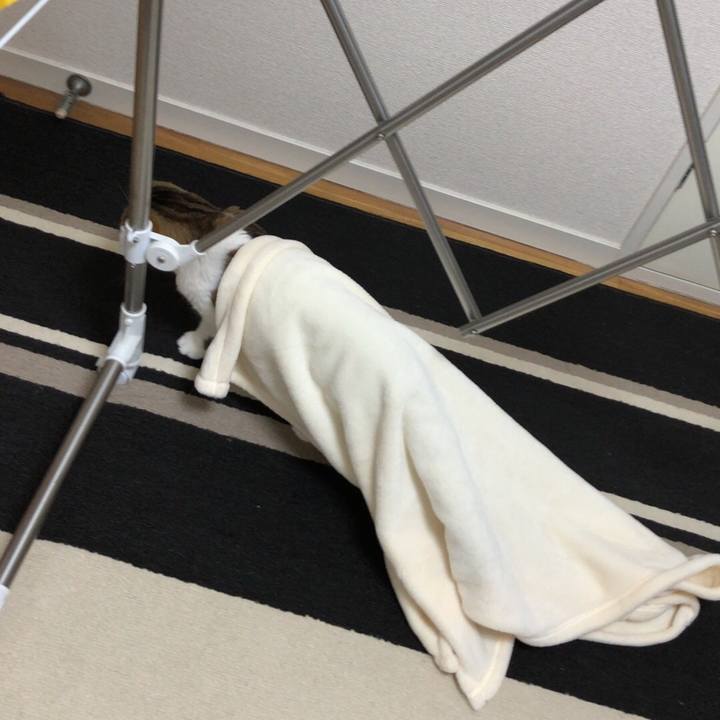 B7d25c14 f4f7 4c5d 97a2 6c869b4a9bcb 1540289845544