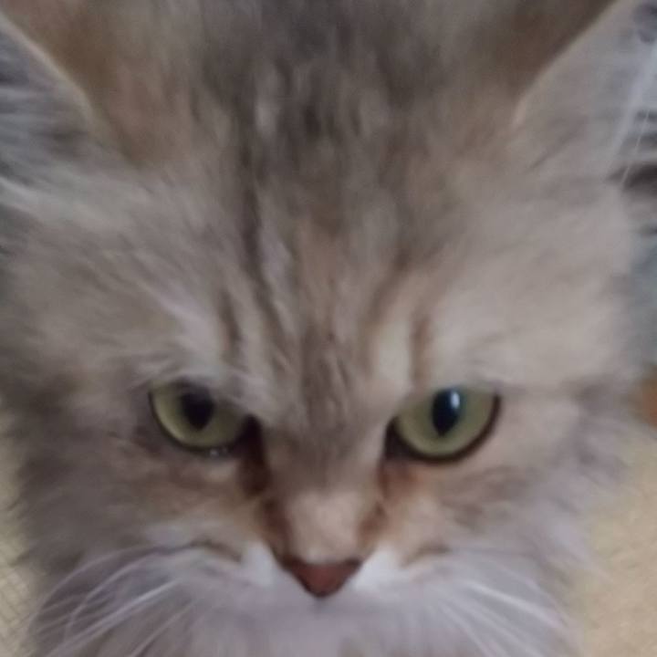 B7d26dc3 62a3 43c6 b928 0927edfffbc2 1625993290811