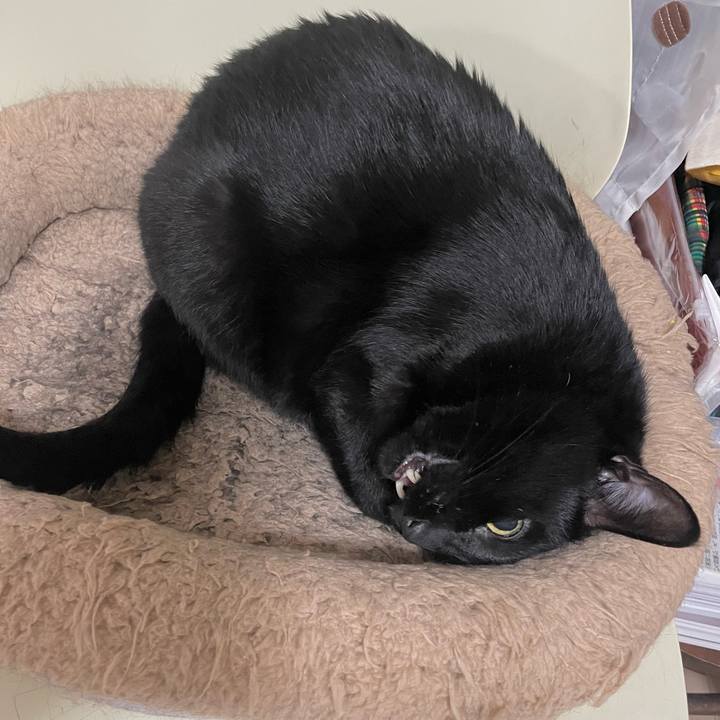 B7d28114 4274 4edd b72d 2f0dc2826bf6 1734249395177